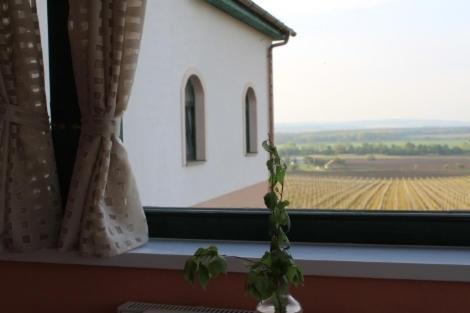 Hotel Vinohrad Milotice Экстерьер фото