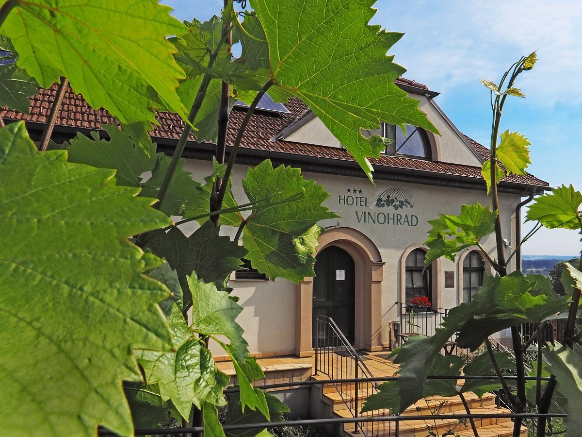 Hotel Vinohrad Milotice Экстерьер фото